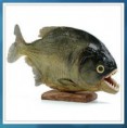 piraňa