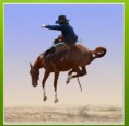 rodeo