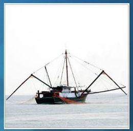 trauler
